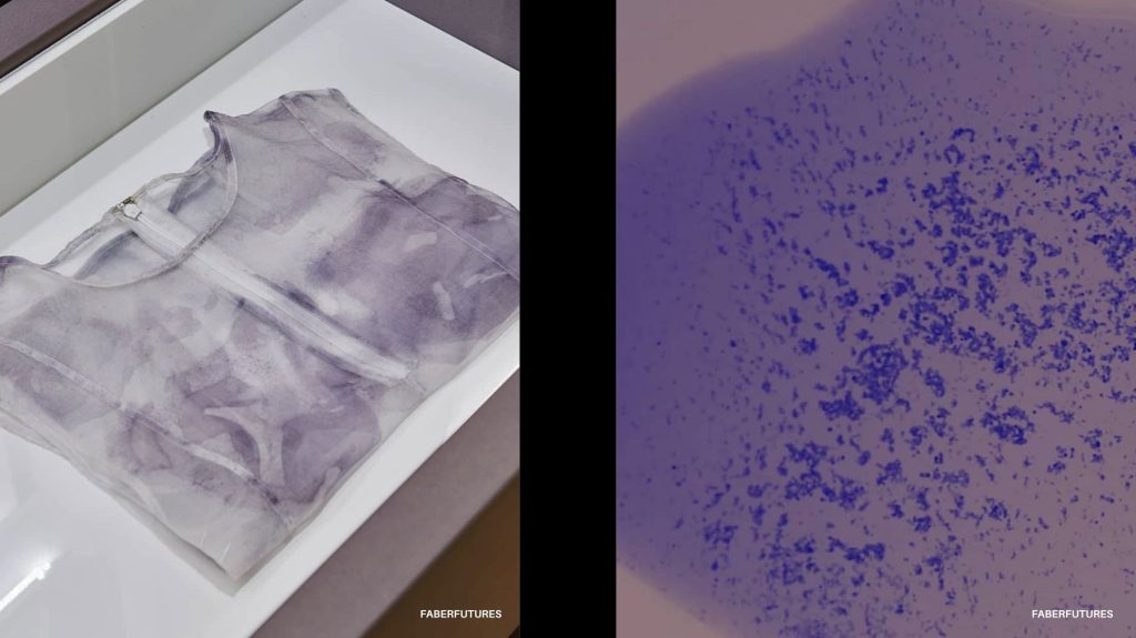 Translucent bio-dyed garment and microscopic view of pigment particles, showcasing sustainable fashion innovation by FABERFUTURES.