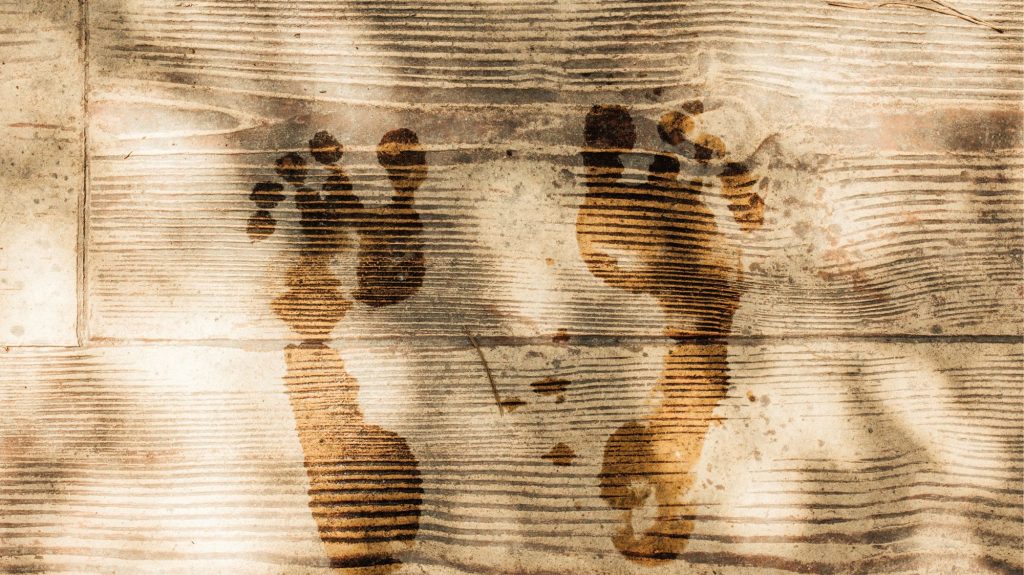Footprints on natural wood surface, symbolizing regenerative steps in fashion and design by C2 Fashion Studio.