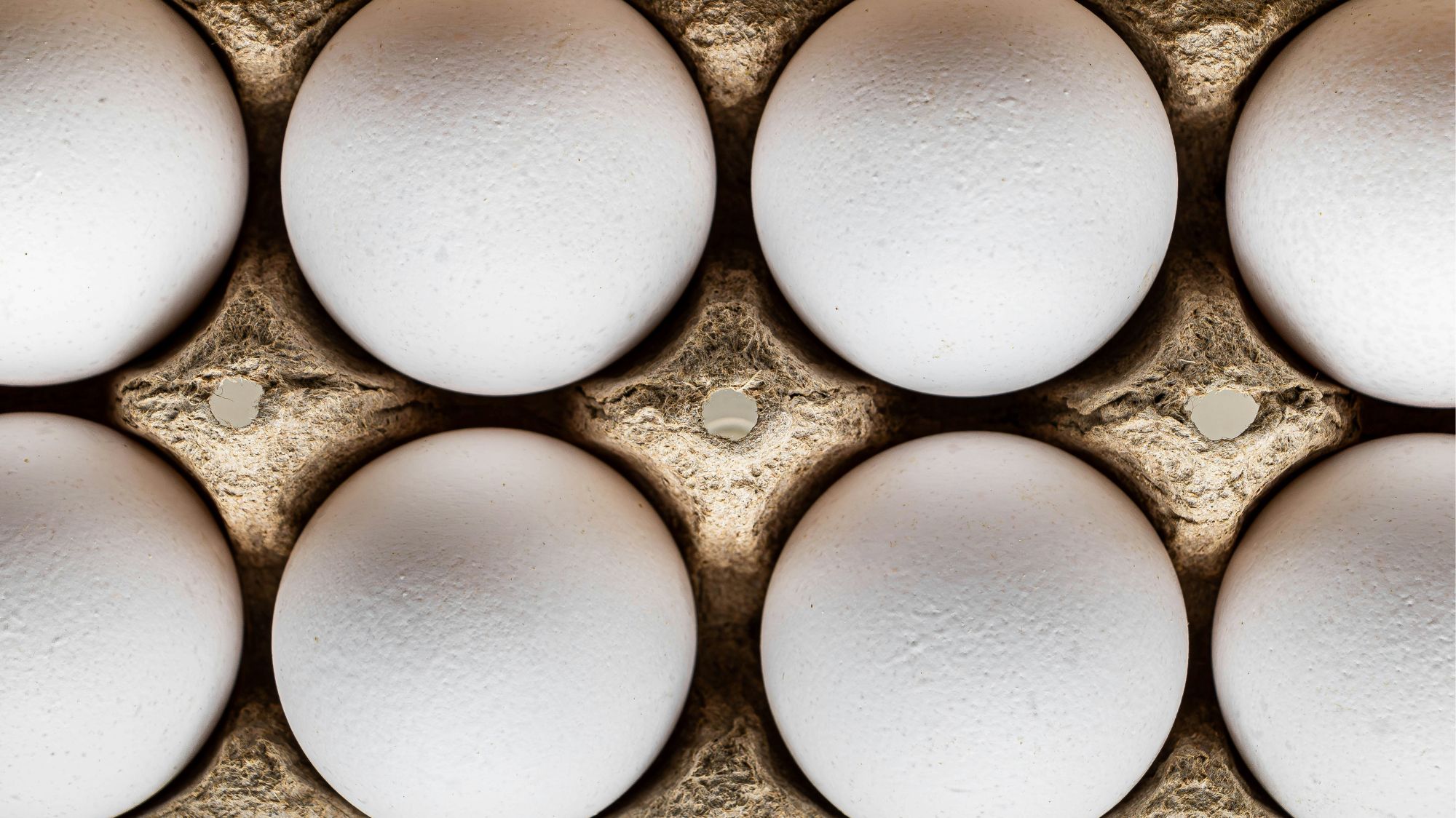 Close-up of white eggs in recycled cardboard tray – part of C2 Fashion Studio’s Creative Innovations Trend.