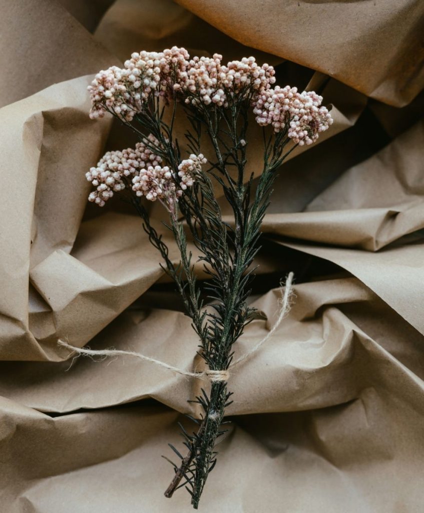 Delicate dried pink flowers tied with twine on crumpled kraft paper – symbolizing natural textures and creative innovation across design fields, by C2 Fashion Studio.