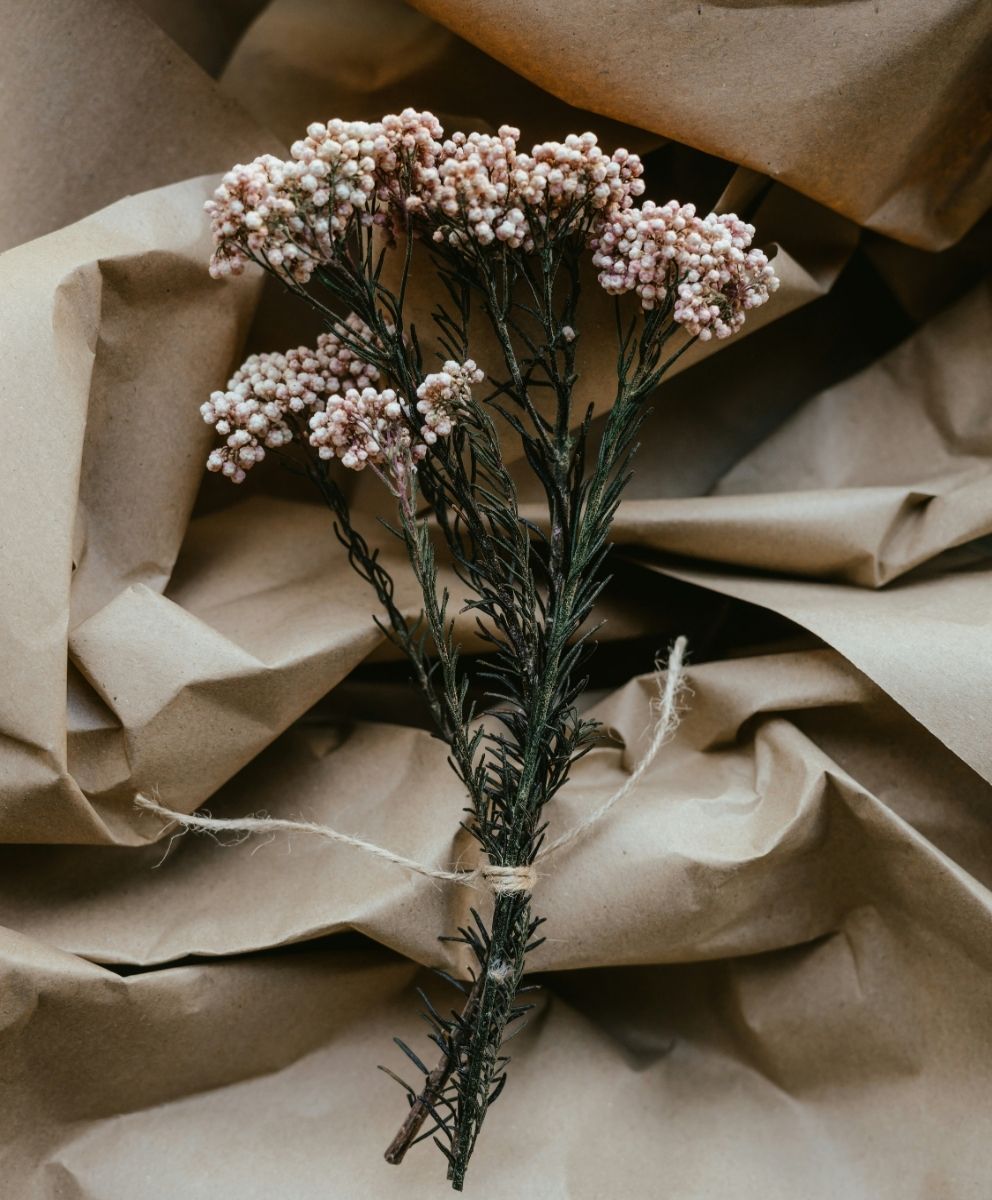 Delicate dried pink flowers tied with twine on crumpled kraft paper – symbolizing natural textures and creative innovation across design fields, by C2 Fashion Studio.