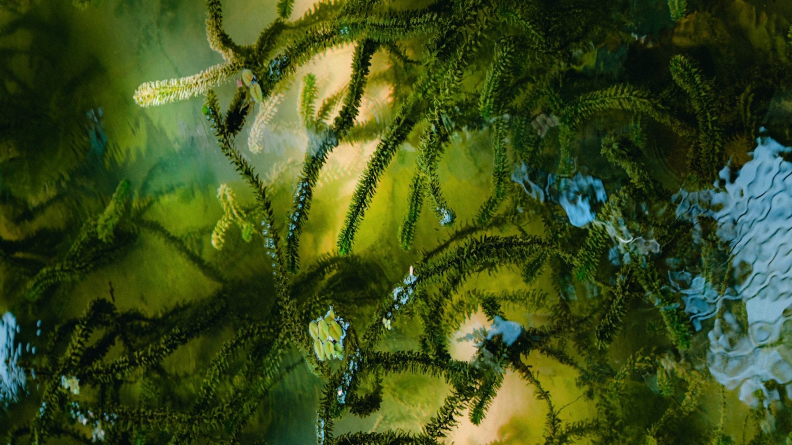 C2 Fashion Studio Sustainability Cooperation 2027