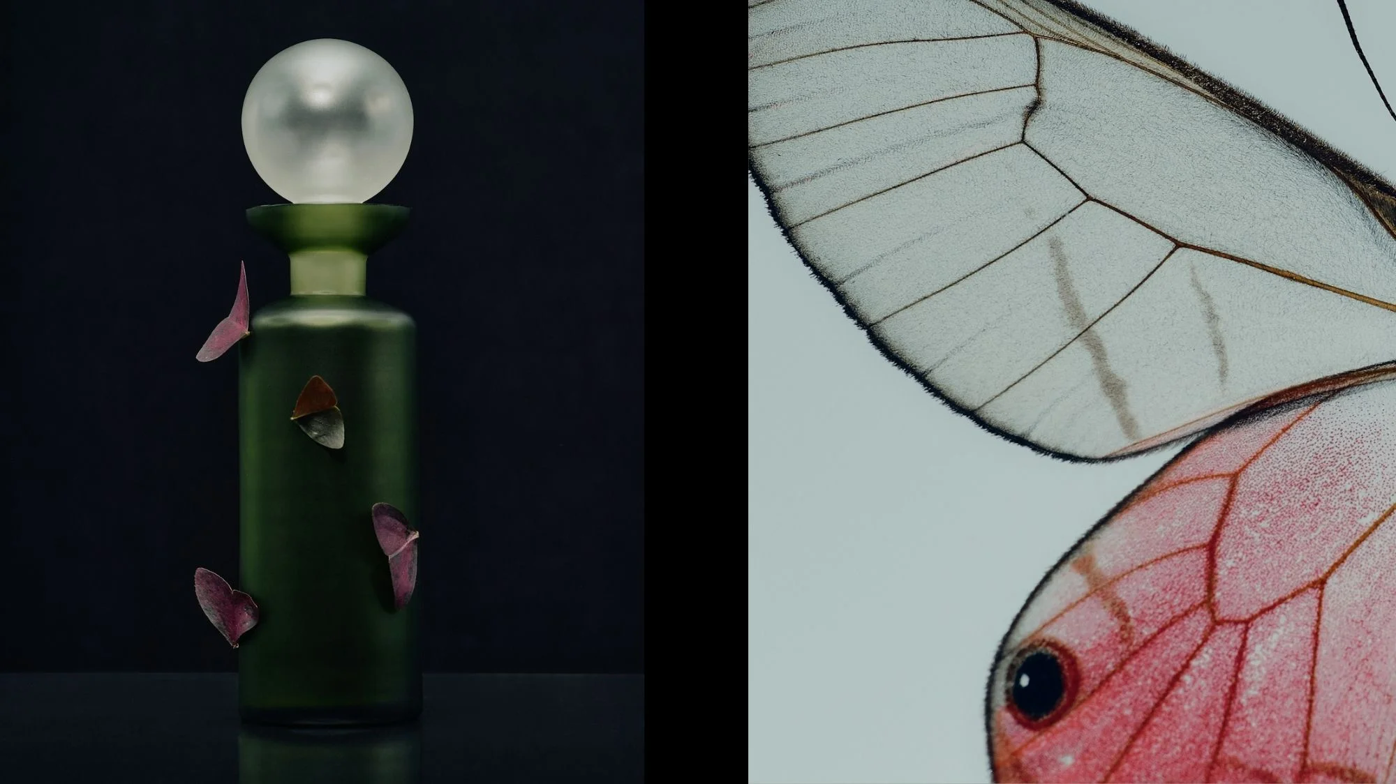Dark green bottle with butterflies and close-up of butterfly wing—symbolizing transformation and curated aesthetic futures