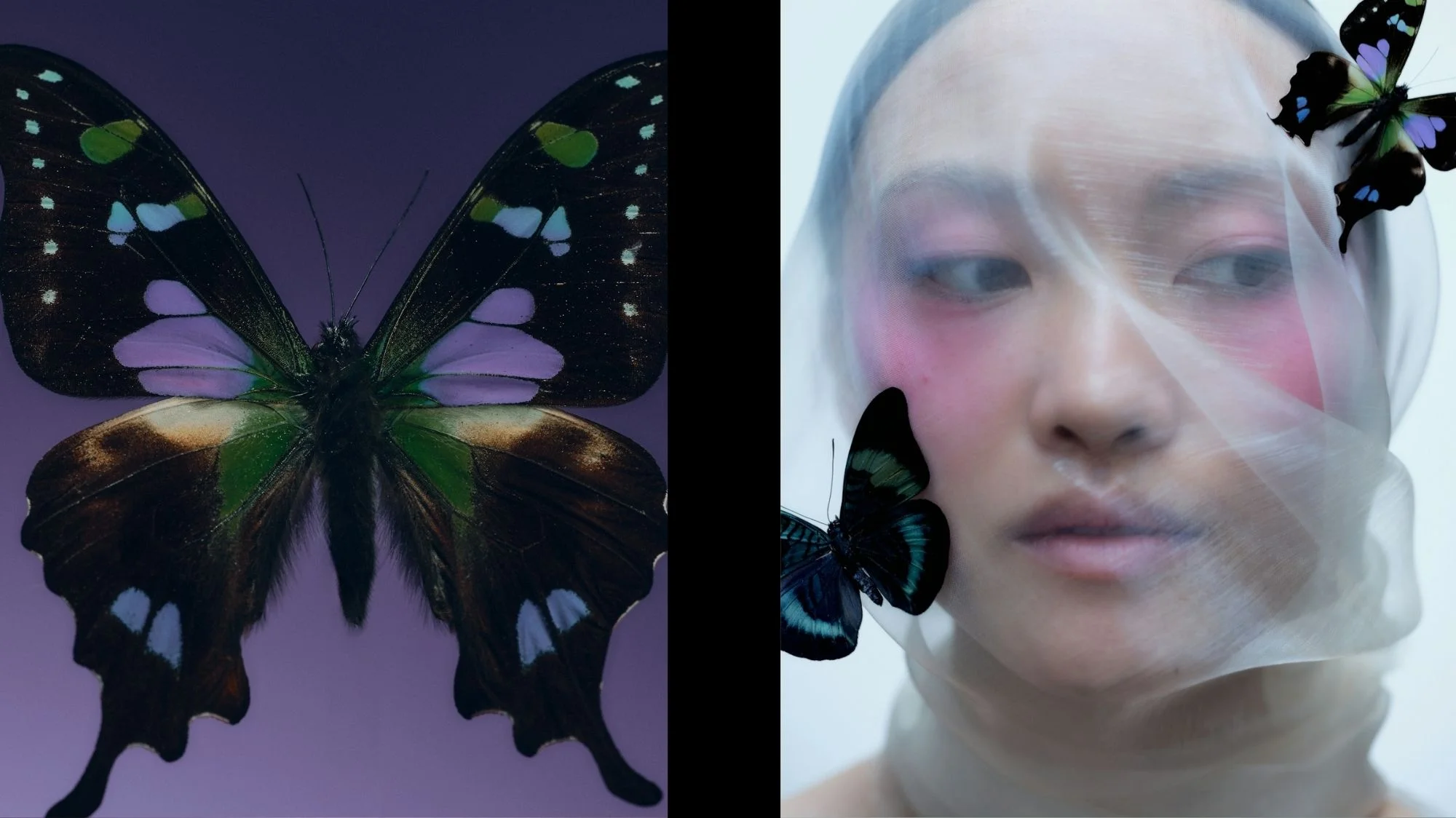 Close-up of iridescent butterfly and veiled portrait of a woman with butterflies—expressing delicate transformation and futuristic beauty