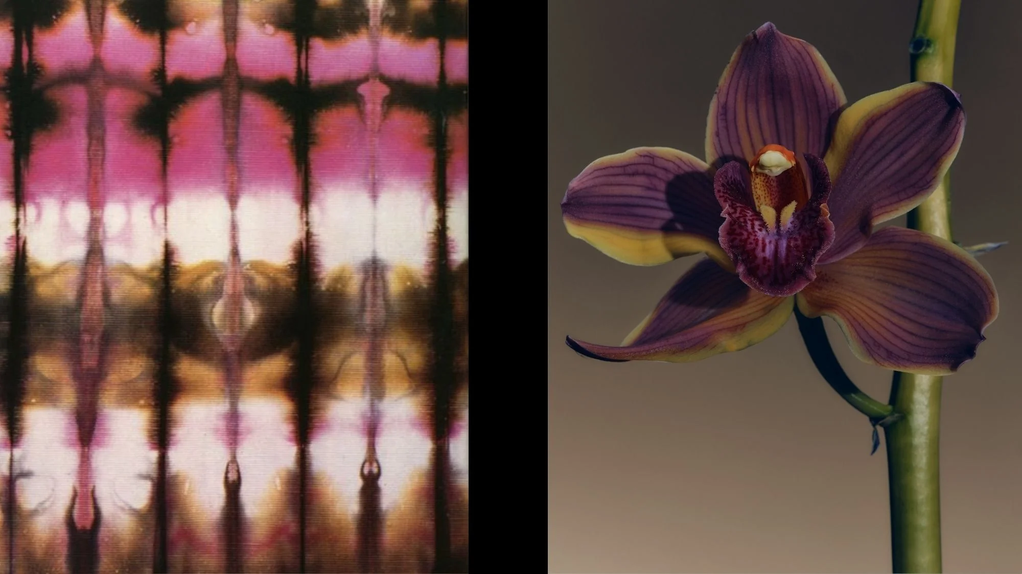 Tie-dye textile in pink and brown hues paired with close-up of purple-yellow orchid—symbolizing color harmony and organic design