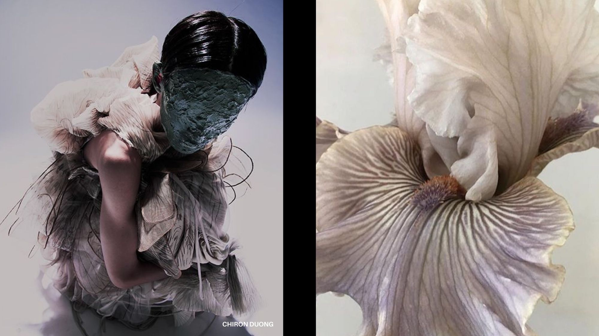 Avant-garde fashion design with sculptural organic textures and biomimicry-inspired mask beside a close-up of a flower, symbolizing Symbiotic Futures in trend forecasting for Spring Summer 2027 2028 by C2 Fashion Studio, a global trend forecasting agency.