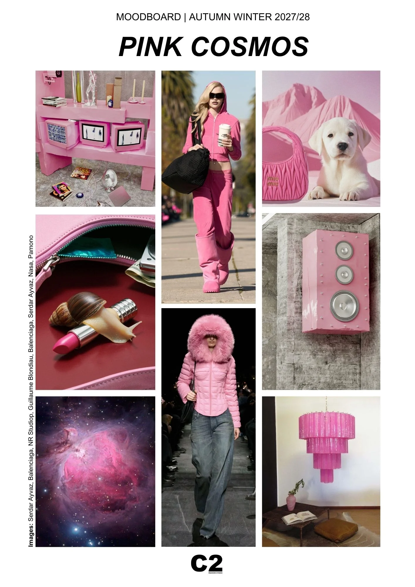 Moodboard featuring Pink Cosmos, a vibrant fashion color trend for Autumn Winter 2027 2028, highlighted by C2 Fashion Studio in trend forecasting as a symbol of imagination, escapism, and identity.