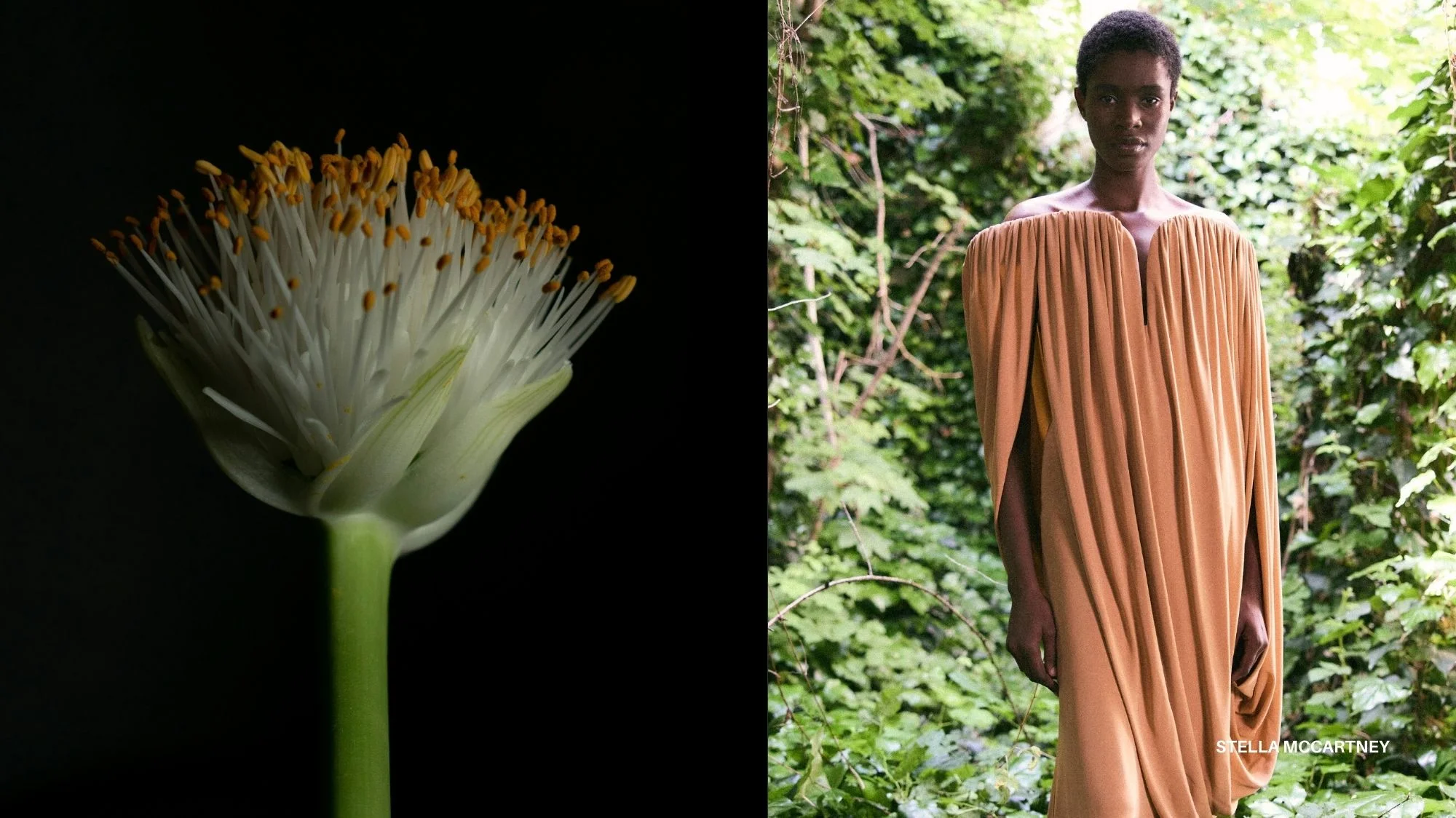 Split image showing a close-up of a white flower with golden stamens and a model in a flowing earthy gown in nature, symbolizing future fashion trends inspired by organic thinking and ecological design.