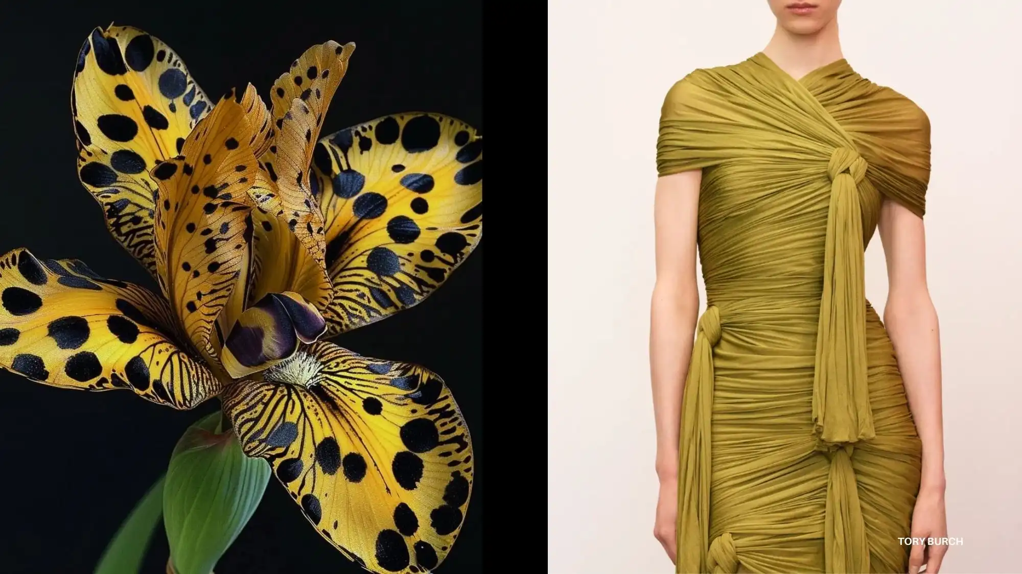 Juxtaposition of a yellow spotted orchid and a draped olive-green Tory Burch dress, illustrating organic fluidity and natural precision as key inspirations in Autumn Winter 2027 2028 Fashion Trend Forecasting by C2 Fashion Studio.