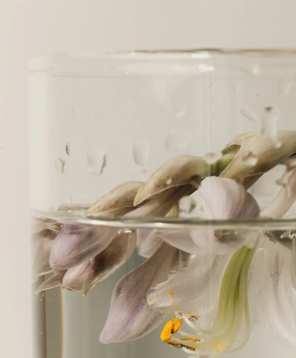 Close-up of delicate lilac flower petals submerged in clear water inside a glass, symbolizing purity, self-care, and the holistic essence of Carewear fashion.