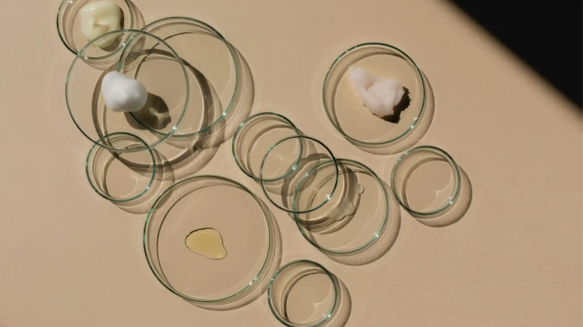 Glass petri dishes filled with creams, oils, and biomaterial textures arranged on a beige surface, illustrating longevity science, future wellness design, and material intelligence explored by C2 Fashion Studio.