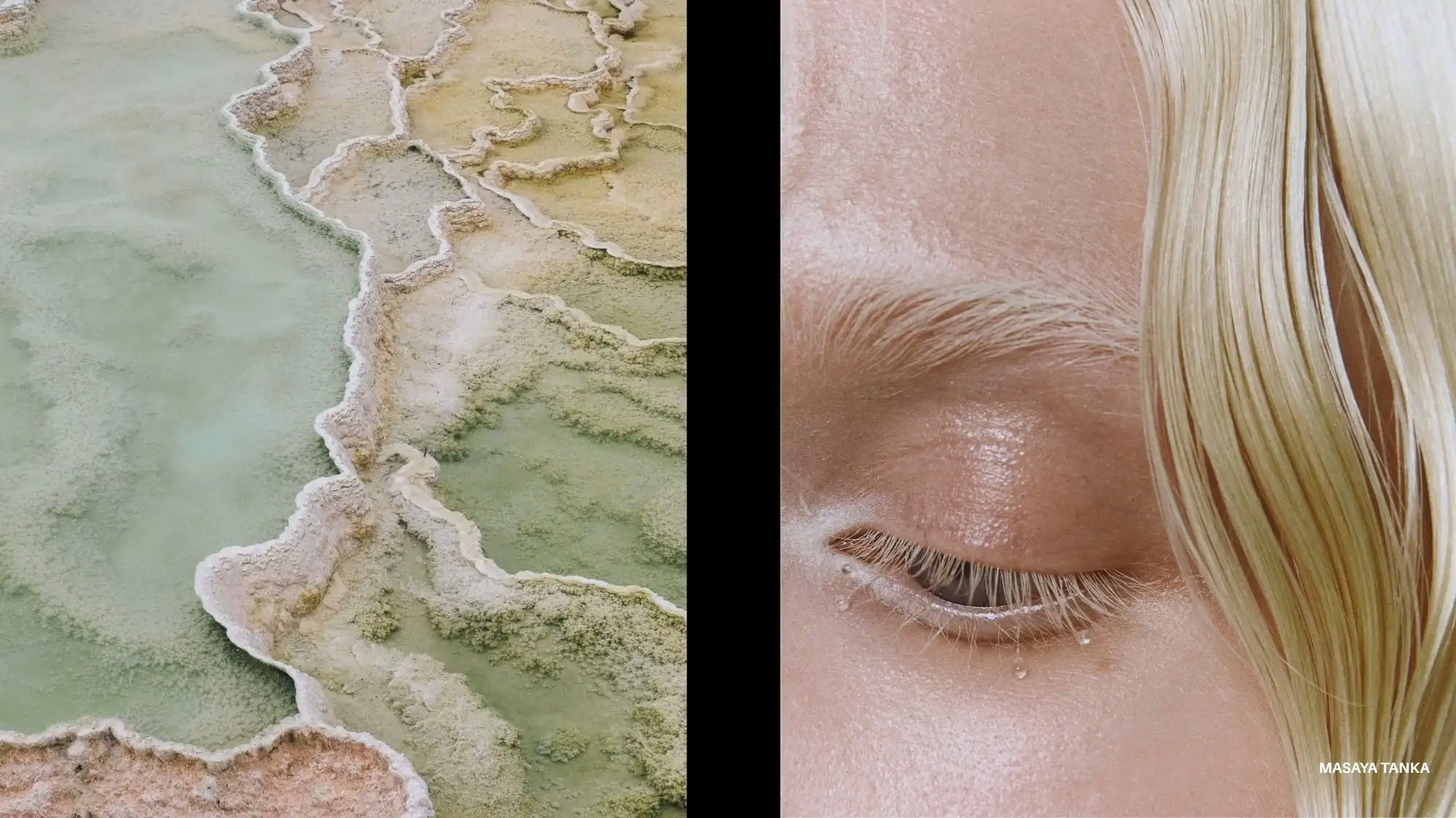 draft alt text, title, caption and description for this image based on above text and make it seo heavy