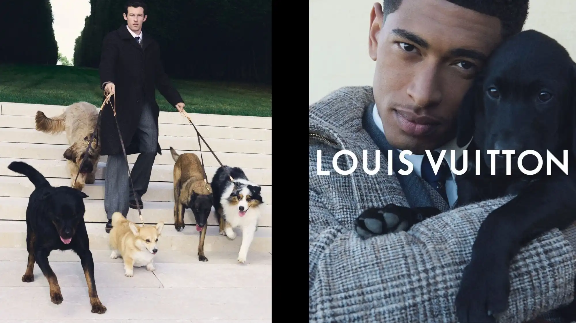 Luxury fashion campaign featuring models with dogs, illustrating the Humanization of Pets trend and Louis Vuitton’s embrace of empathy and inclusion in contemporary design.