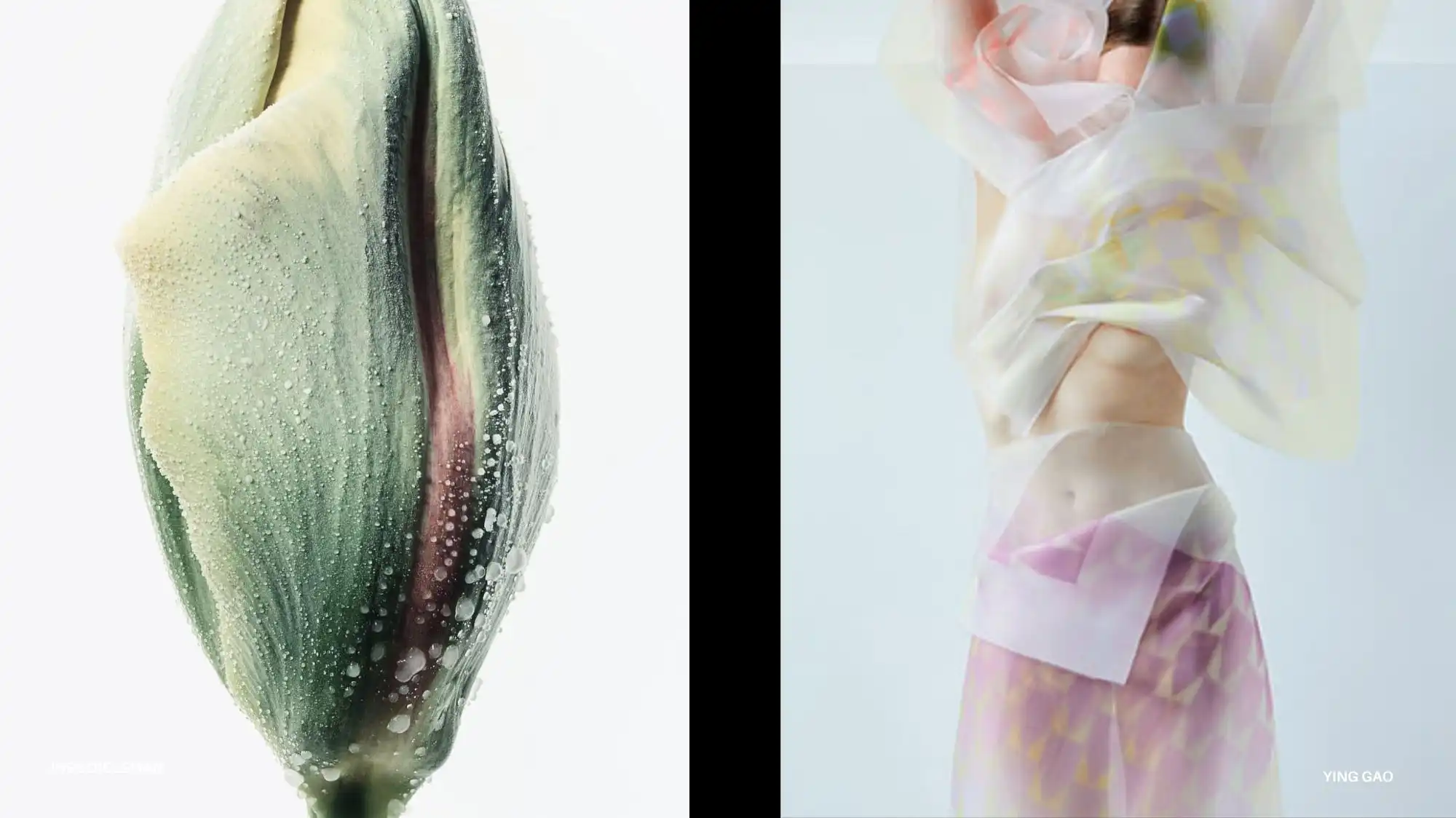 draft alt text, title, caption and description for this image based on above text and make it seo heavy