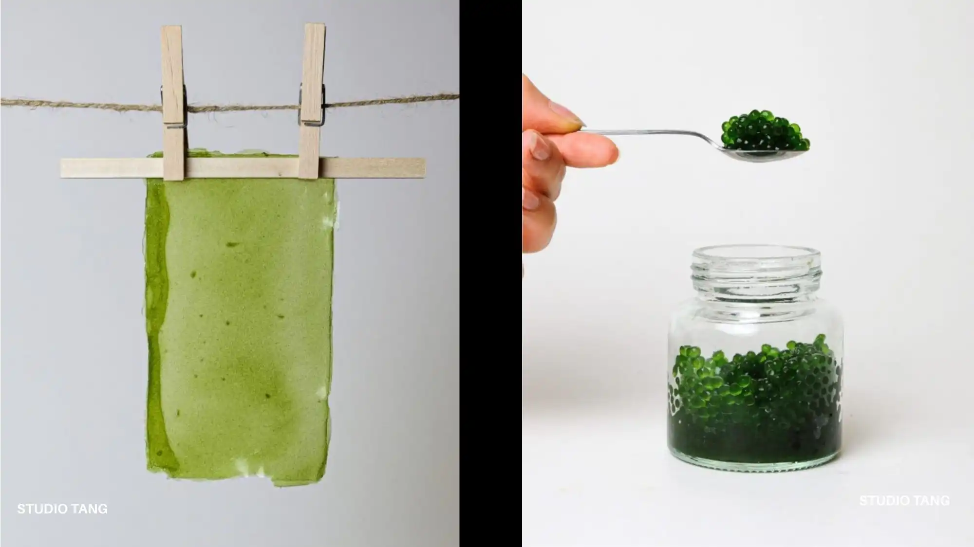 Spring Summer 2027 trend forecasting highlighting the Symbiotic Future through bio-based materials, algae-derived innovation, and regenerative fashion material intelligence