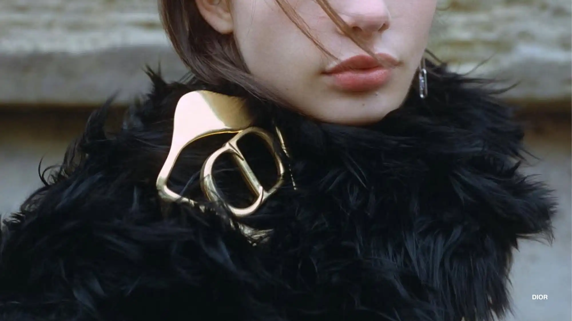 Dior Pre-Fall 2026/27 detail featuring black faux-fur texture and gold hardware, highlighting luxury craftsmanship and strategic styling in fashion trend forecasting.