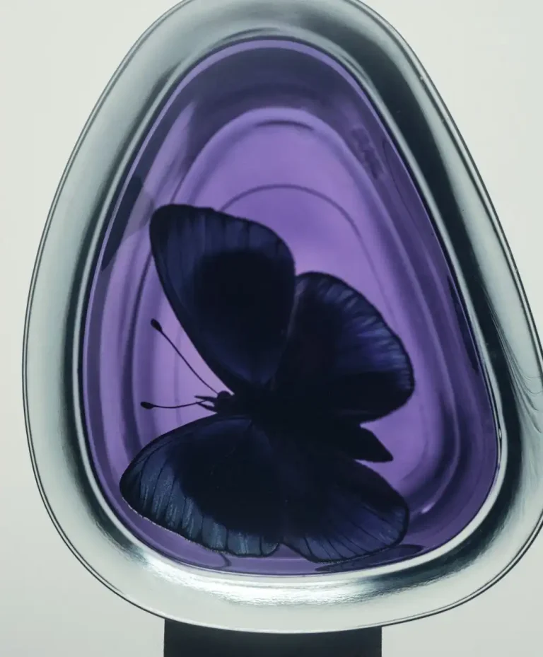 Spring Summer 2027 fashion trends featuring advanced color forecasting, emotional color psychology, and the Symbiotic Future in contemporary fashion trend analysis