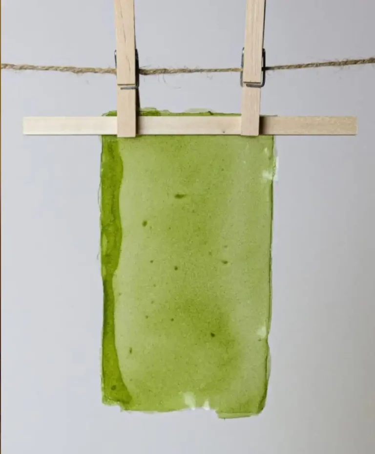 Spring Summer 2027 trend forecasting illustrating the Symbiotic Future, with regenerative materials, bio-based innovation, and nature-driven fashion intelligence