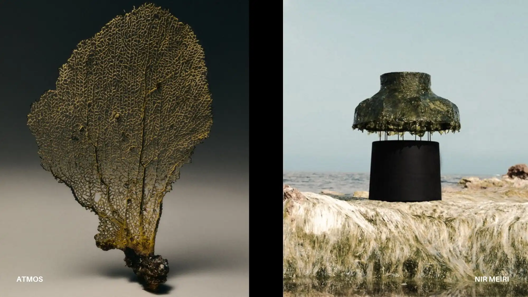 Regenerative fashion inspiration featuring organic structures and biomaterial forms reflecting living systems in AW 27/28 macro trends