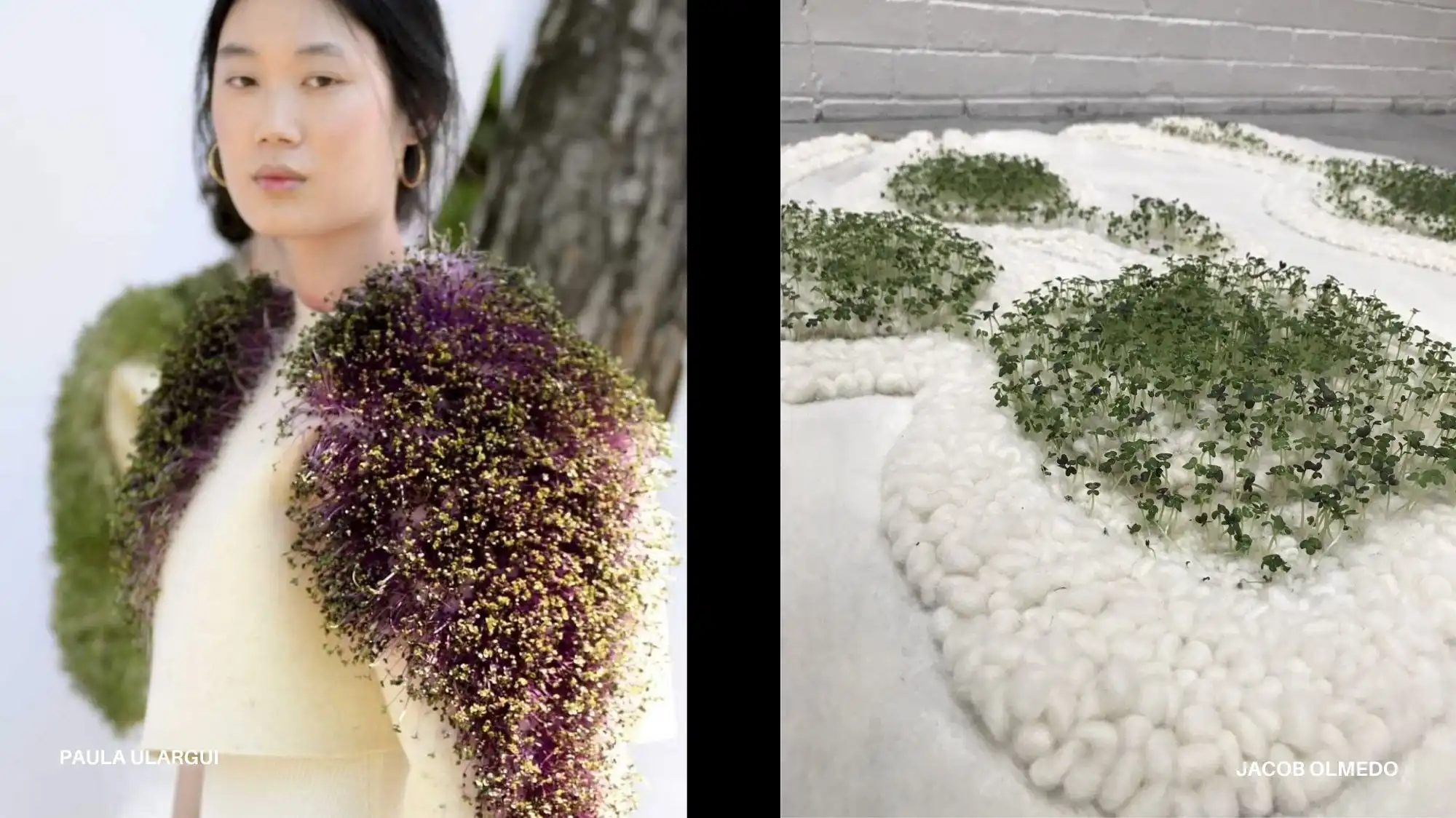 Cultivated fashion using living plant materials illustrating biological sophistication and regenerative design