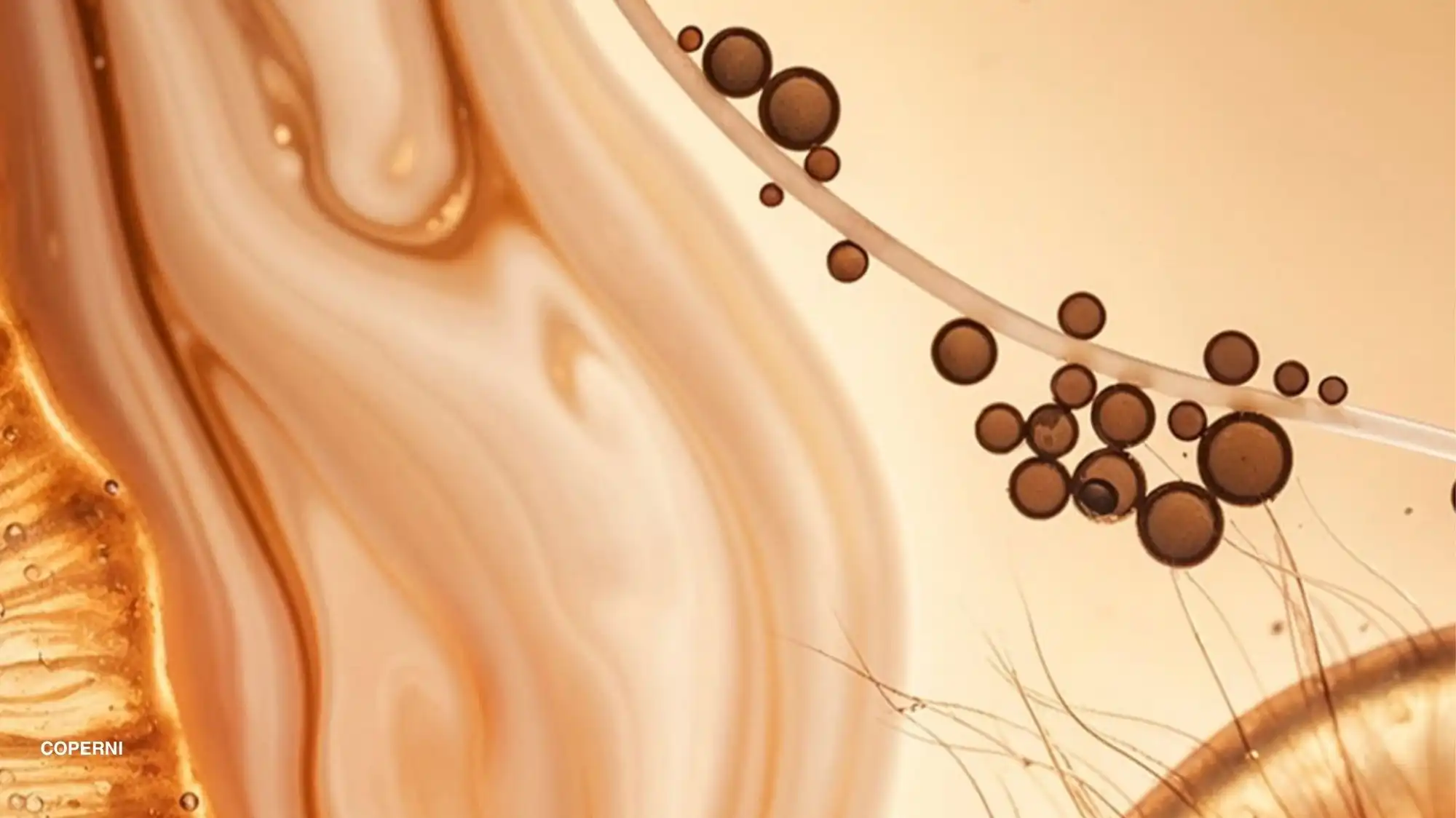 Biotech-inspired probiotic textile imagery visualising skin microbiome innovation by C2 Fashion Studio trend forecasting agency