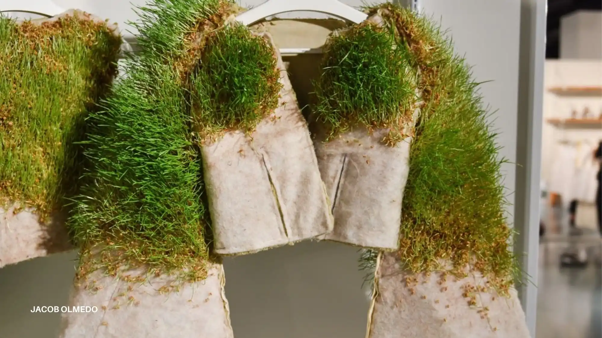 Living fashion garment grown with grass and cultivated materials reflecting biological sophistication in future fashion