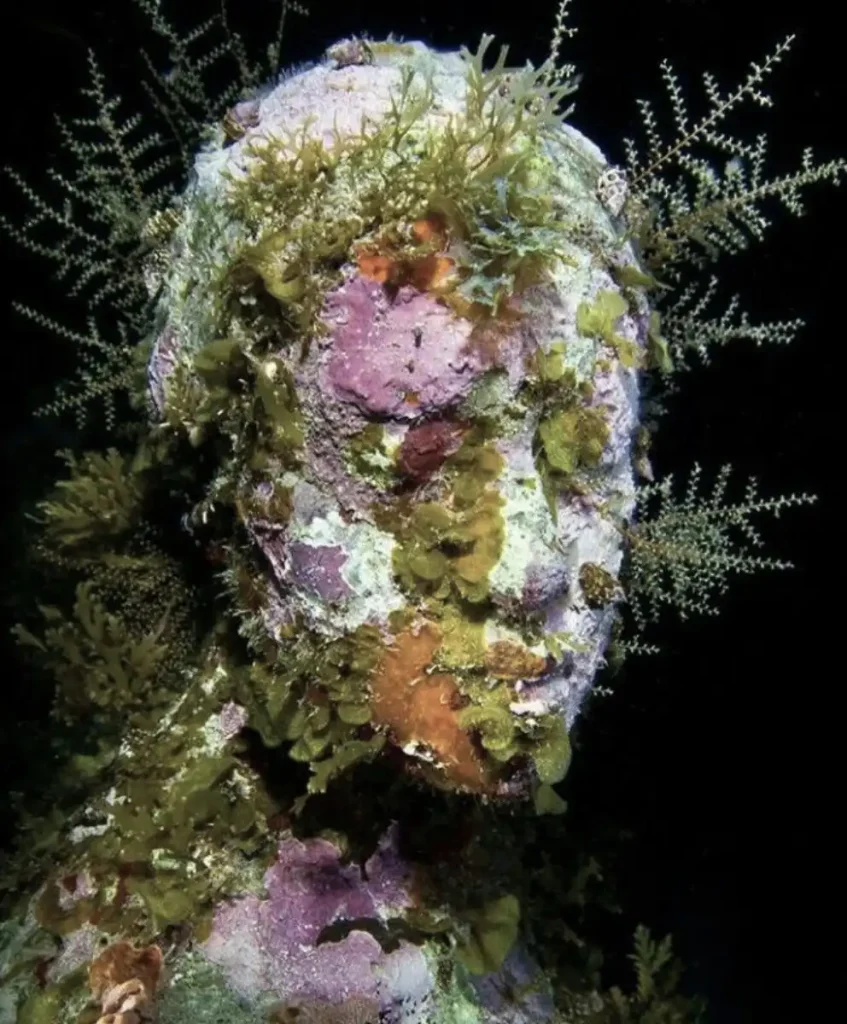 Regenerative fashion material inspired by living systems, organic textures and biomaterial aesthetics defining AW 27/28 macro trends