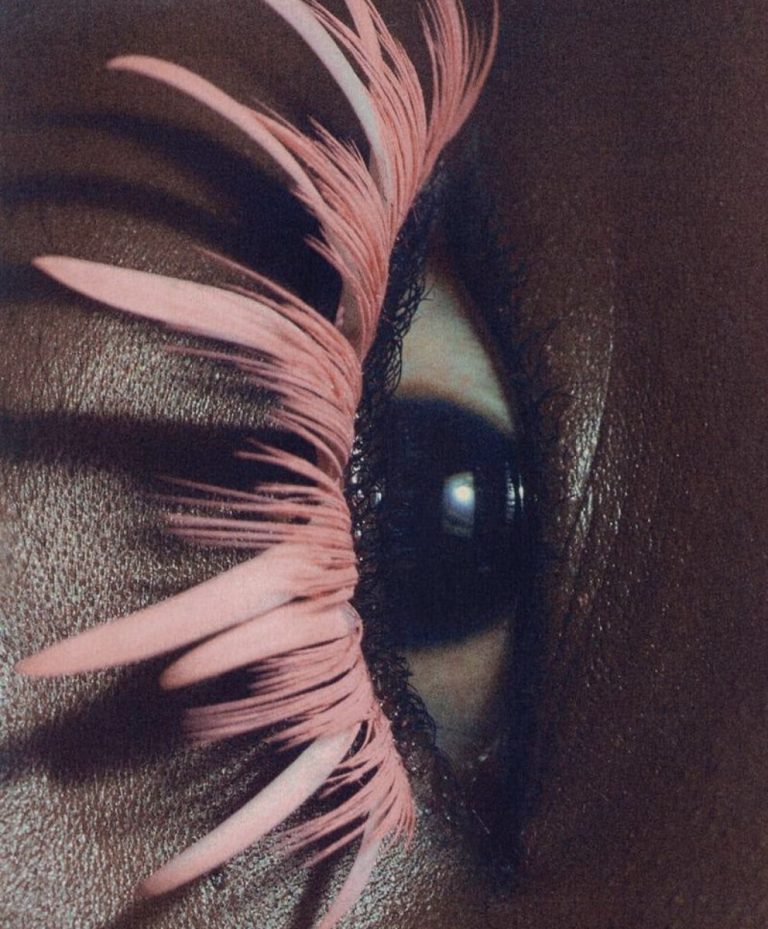 trend intelligence and fashion trend forecasting visual, conceptual beauty detail with feather texture and sensory design, representing structured trend forecasting and emotional depth