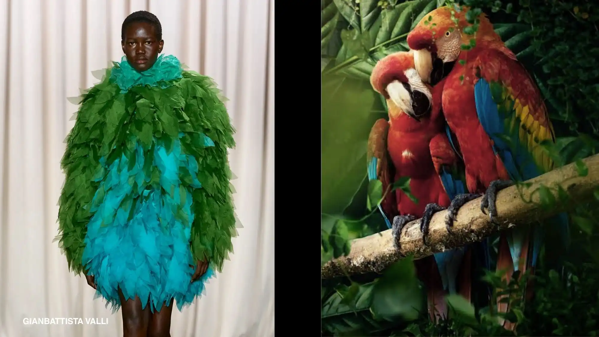A Gianbattista Valli green and teal layered feather dress beside two scarlet macaws perched in a jungle — a nature-to-runway parallel highlighting avian-inspired fashion trend forecasting.