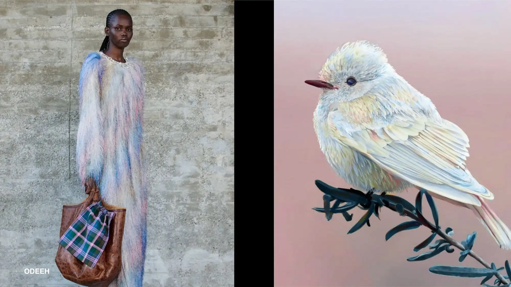 An Odeeh model in a floor-length pastel blue and pink fluffy coat beside an illustration of a pale, iridescent bird on a branch — a delicate nature-to-runway colour parallel in fashion trend forecasting.