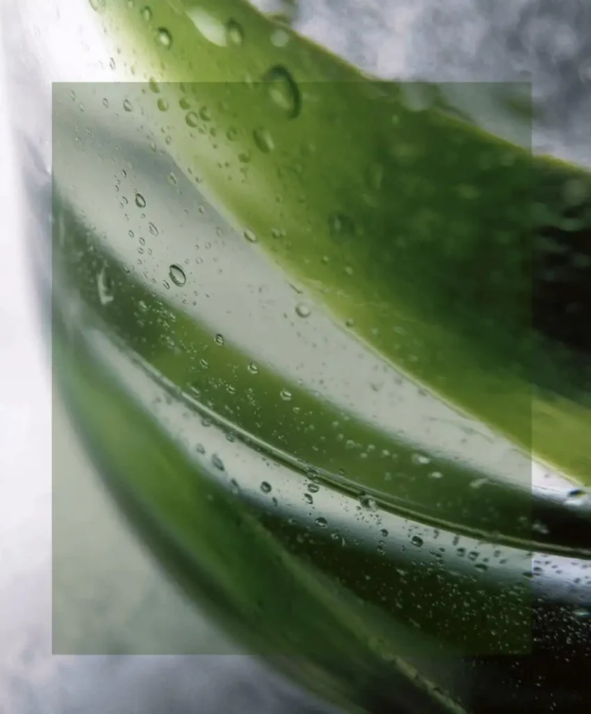 Beauty + Wellness 2027: Strategic Trend Forecasting for a System-Driven Industry