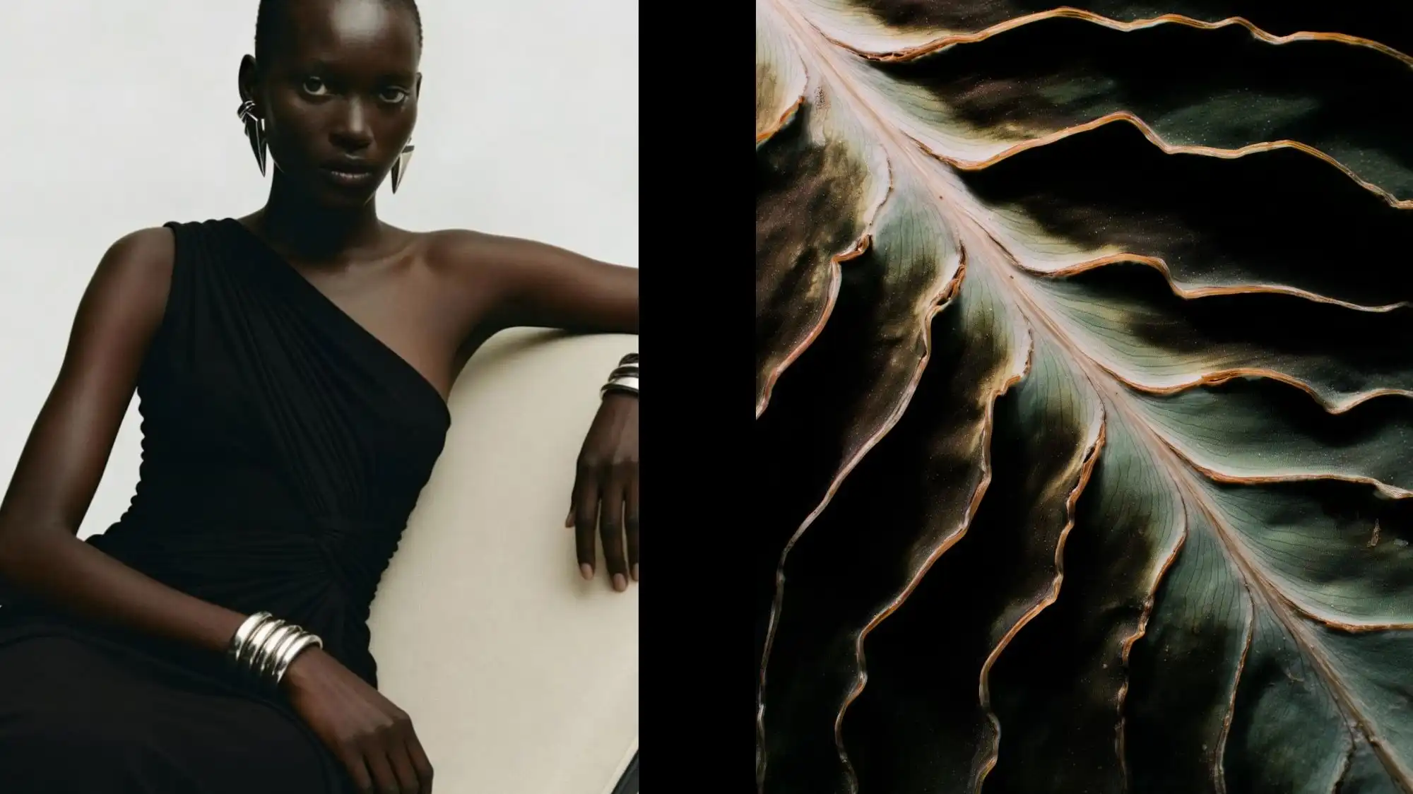 Luxury fashion portrait featuring sculptural black eveningwear, metallic statement jewelry, and organic layered botanical textures representing Clarity Intelligence, emotional luxury, and strategic Fashion Trend Forecasting by C2 Fashion Studio.