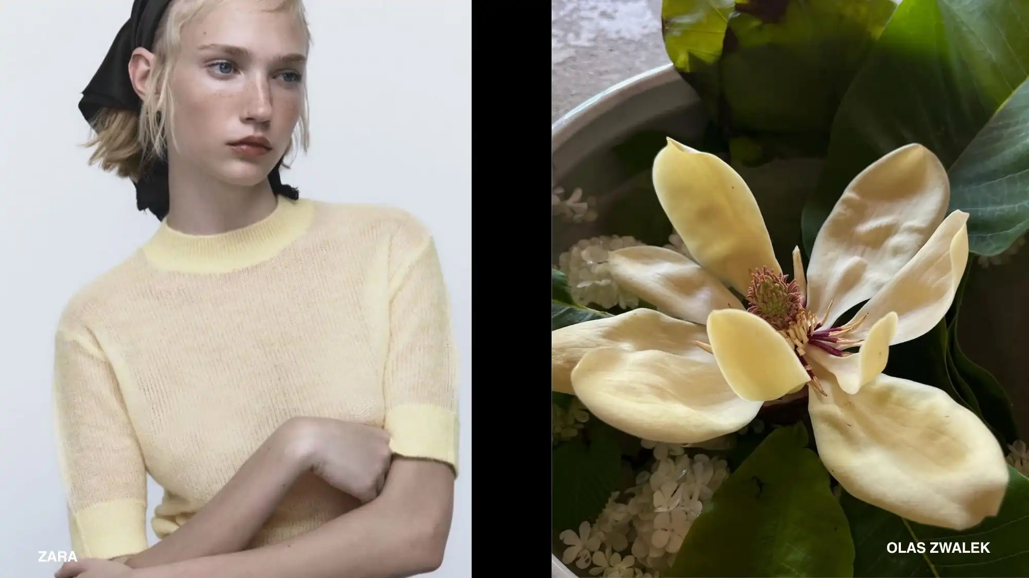 Soft wellness-inspired fashion styling and botanical beauty imagery for Spring Summer 2028 featuring pale yellow knitwear, natural makeup, floral references, and emotionally calming aesthetics aligned with the Daily Routine trend forecast.
