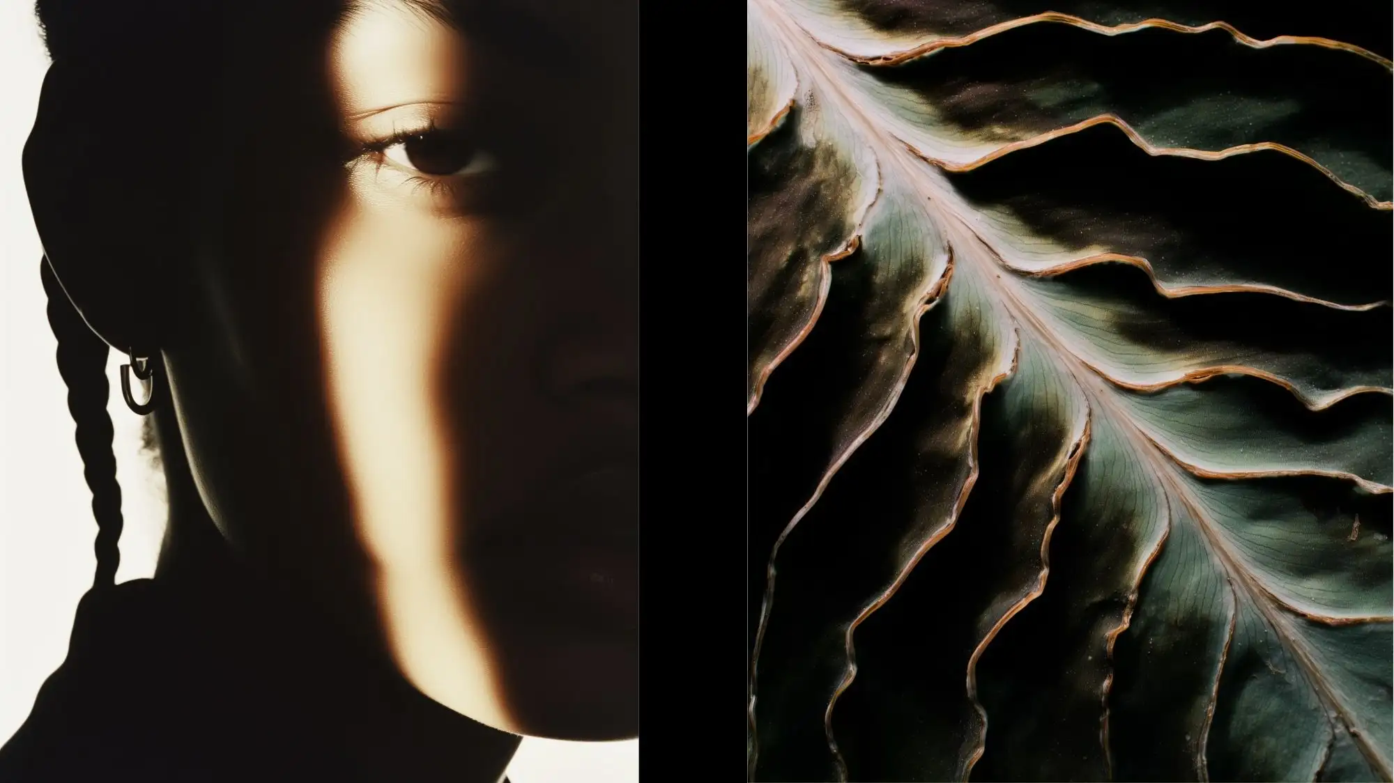 Fashion Trend Forecasting visual featuring a dramatic portrait illuminated by directional light alongside an organic botanical structure, representing the convergence of human creativity, nature-inspired innovation, Trend Intelligence, and future-focused design thinking.