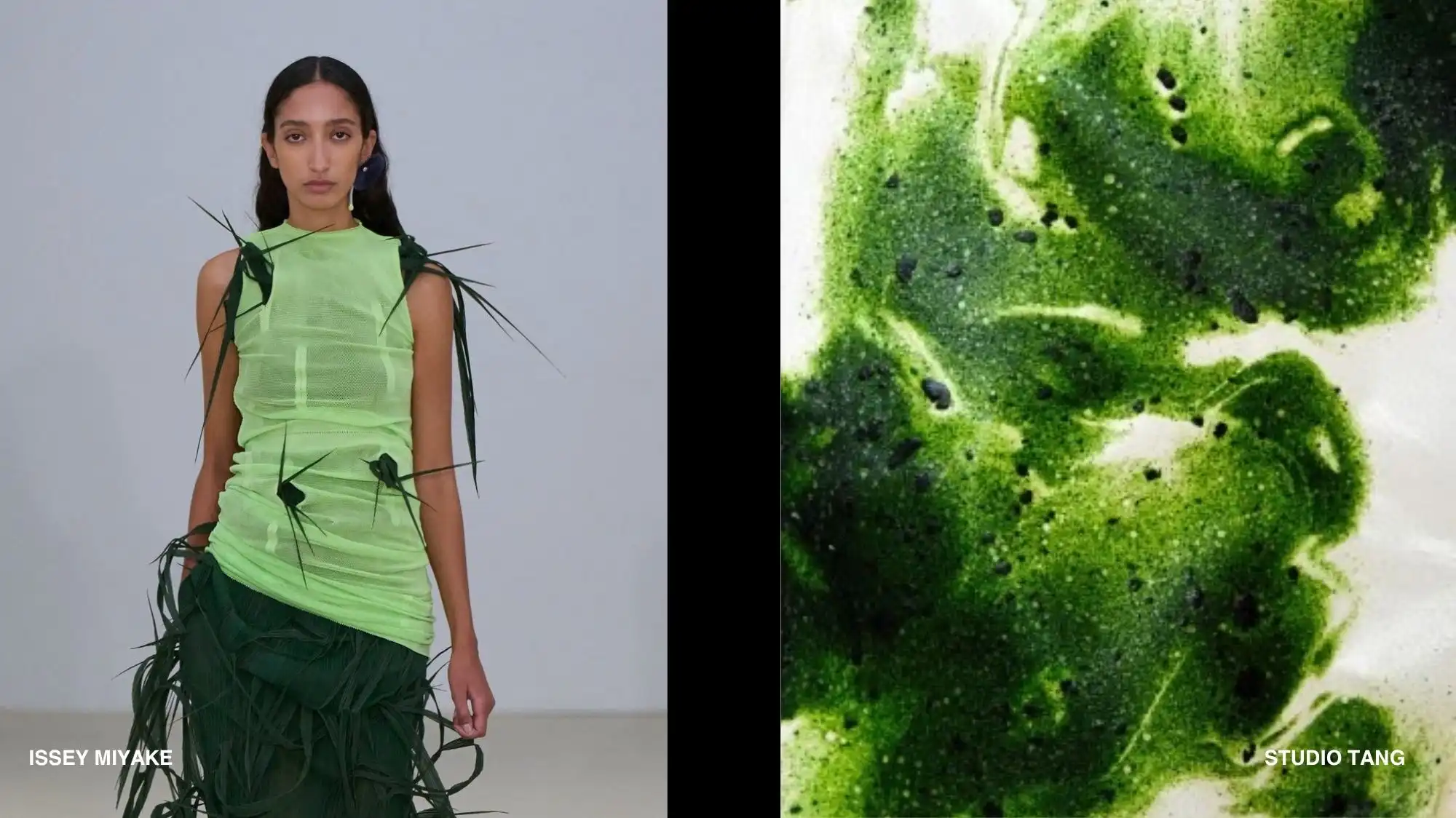 Symbiotic Futures Spring Summer 2027 trend inspiration featuring a biomorphic green fashion silhouette with organic surface embellishments alongside a microscopic algae-inspired texture, illustrating bio-intelligent materials, regenerative design, and nature-driven innovation.