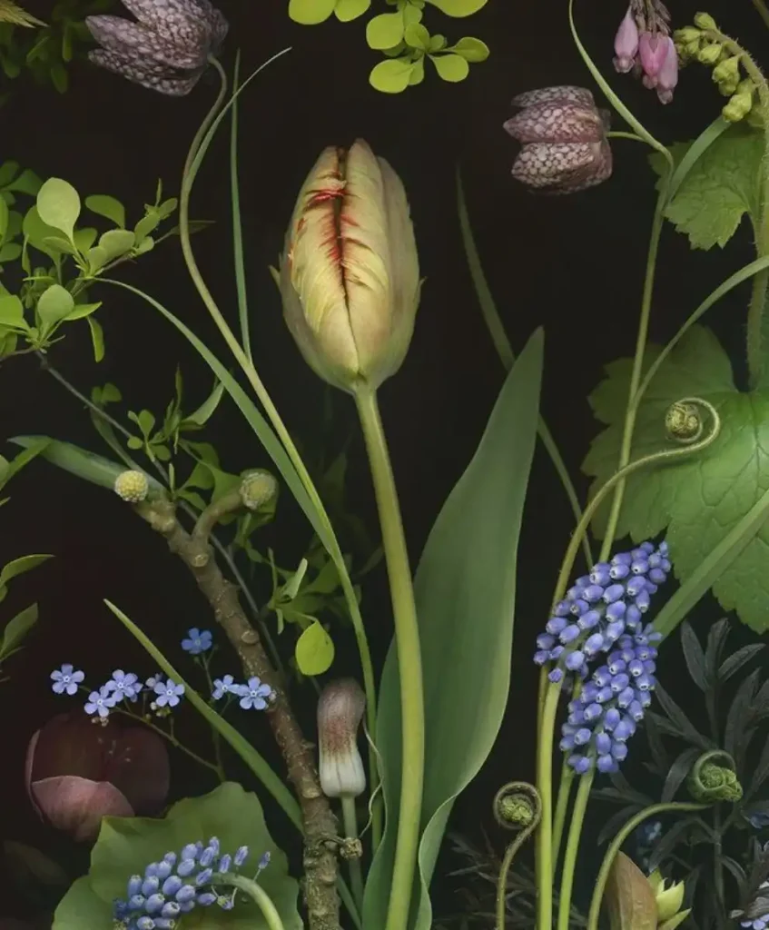 Sustainable Luxury 2030: Why ESG, Biodiversity and Traceability Are Becoming Status Symbols