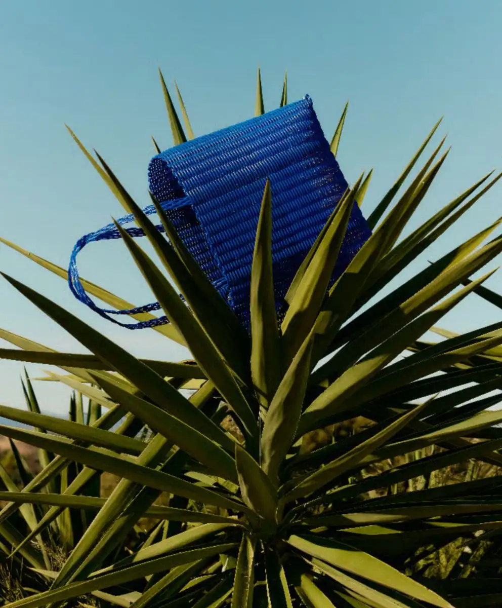 Blue woven fashion accessory crafted from natural fibers placed among spiky green plants, symbolizing Digital Product Passports, sustainable materials, circular fashion, traceability, and future-focused Fashion Trend Forecasting by C2 Fashion Studio.