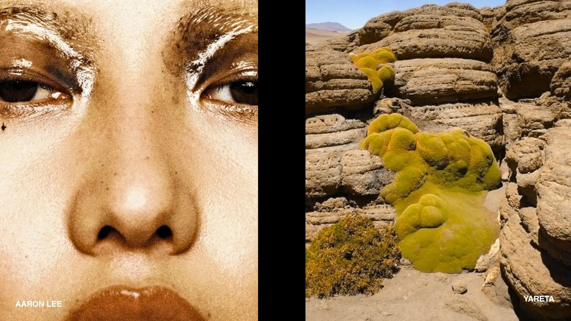 Beauty portrait by Aaron Lee paired with Yareta’s sculptural Andean landscape, expressing mutualism with nature, organic morphology and Spring Summer 2028 Fashion Trend Forecasting by C2 Fashion Studio.